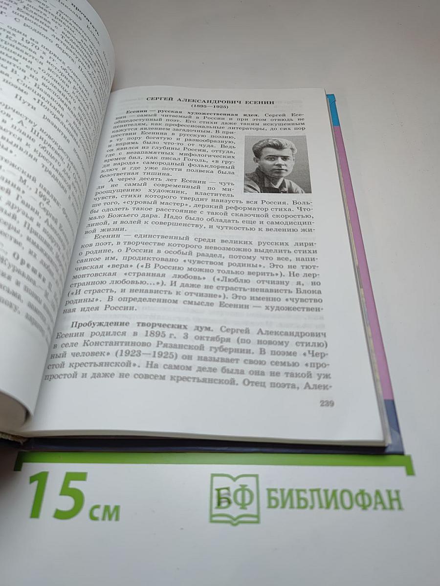 Литература, 11 класс, Часть 1