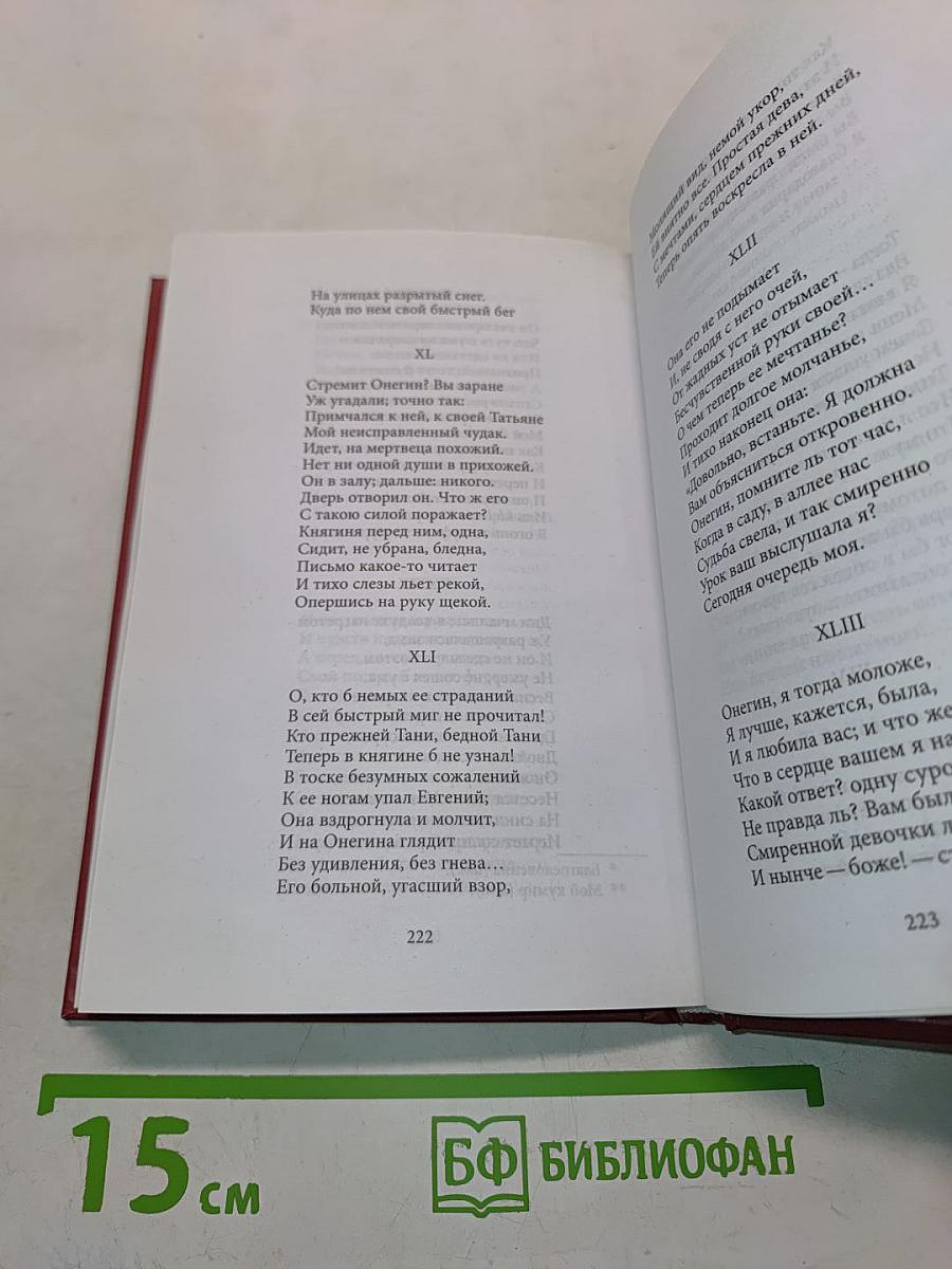 Евгений Онегин