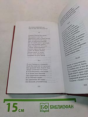 Евгений Онегин