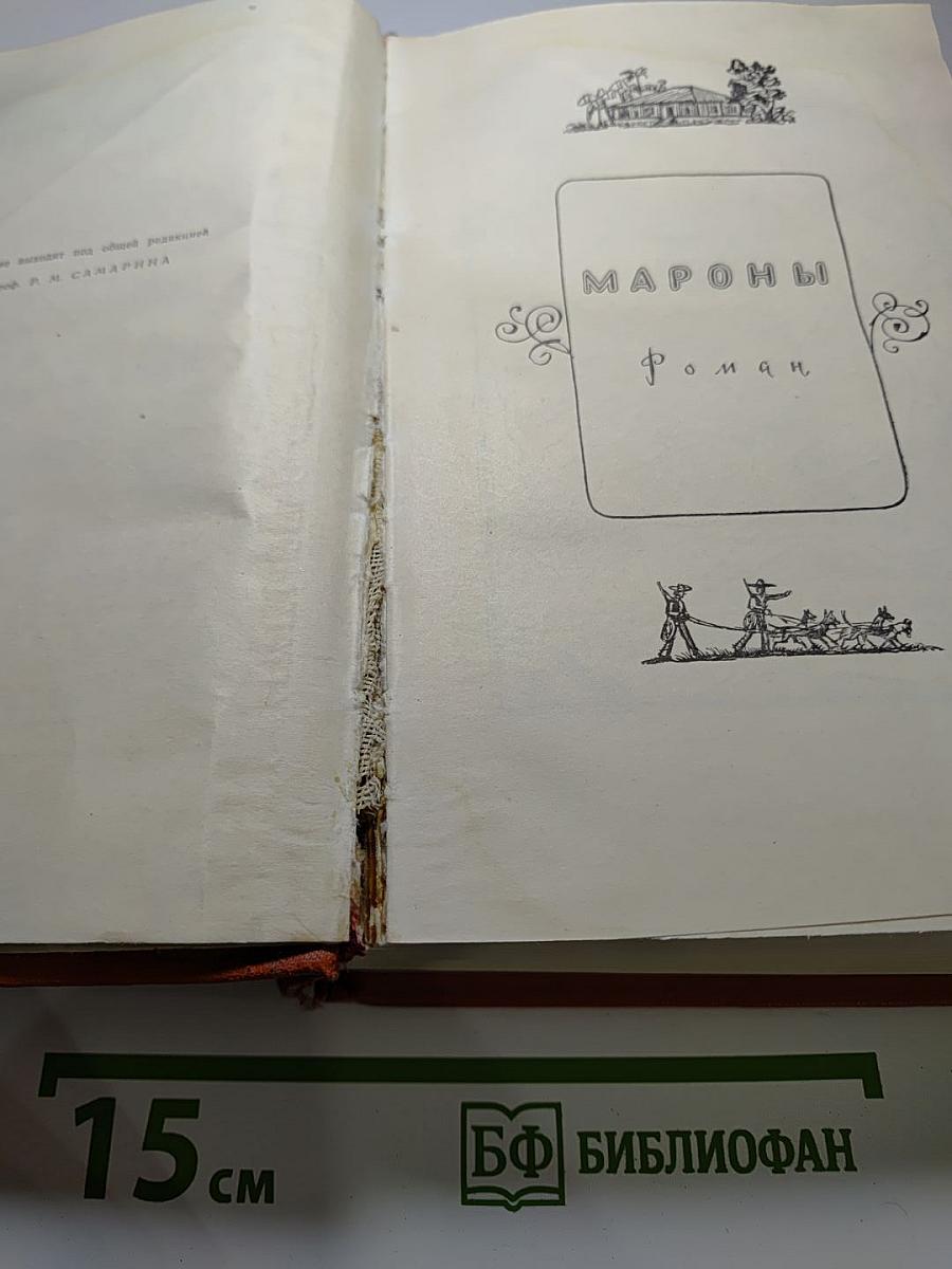 Собрание сочинений. Том VI. Мароны. Всадник без головы