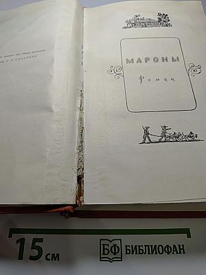 Собрание сочинений. Том VI. Мароны. Всадник без головы
