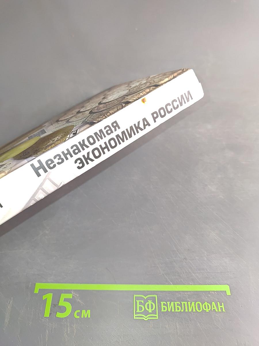 Незнакомая экономика России