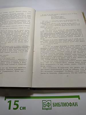 Собрание сочинений. Том 10. Произведения 1923-1925
