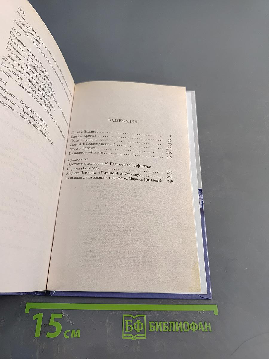 Цветаева. Гибель Марины Цветаевой