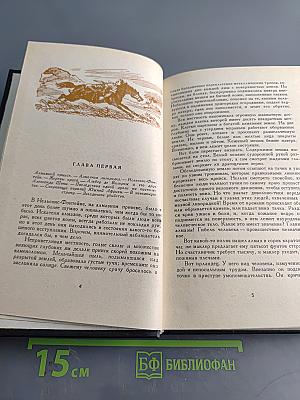 Похитители бриллиантов