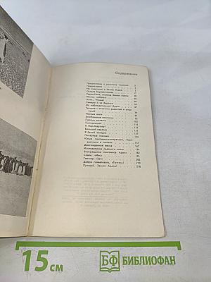 Семеро среди пингвинов