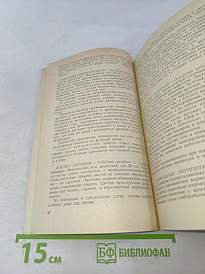 Лекарственные растения Северо-Запада России