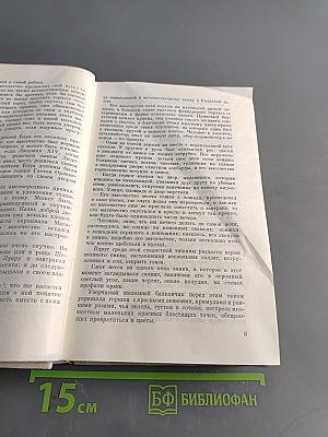 Виконт де Бражелон, или Десять лет спустя. Часть 1, 2