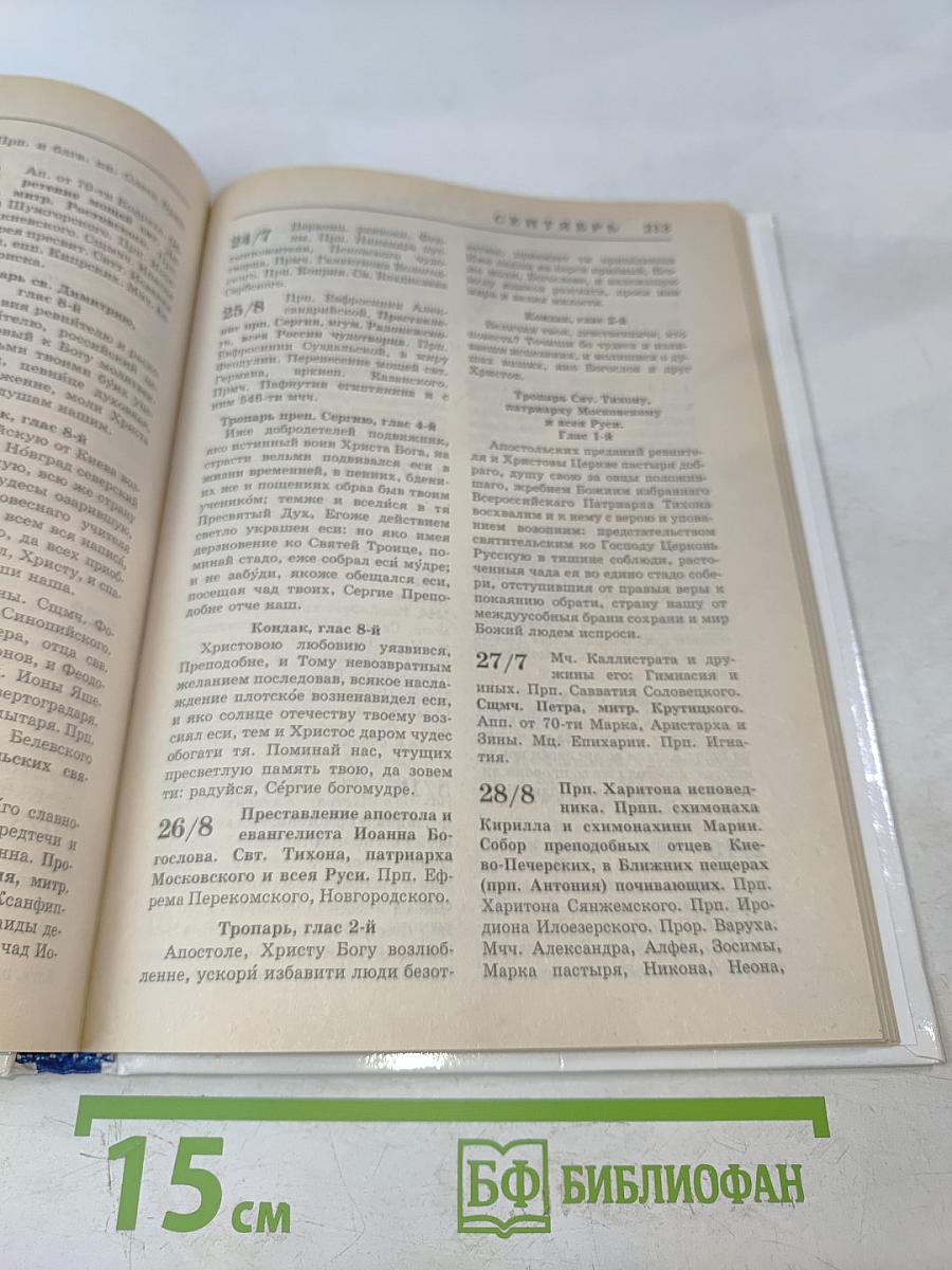 Практическая энциклопедия православного христианина. Основы церковной жизни