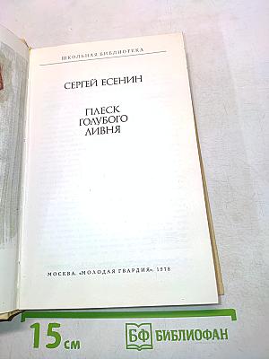 Плеск голубого ливня