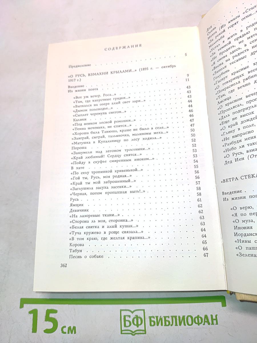 Плеск голубого ливня