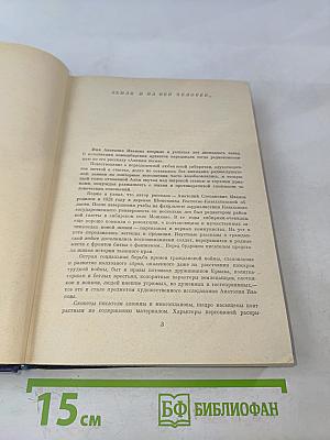 Жизнь на грешной земле