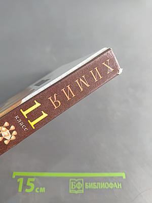 Химия. 11 класс