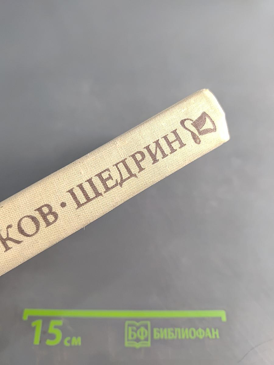 Современная идиллия