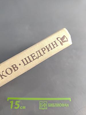 Современная идиллия