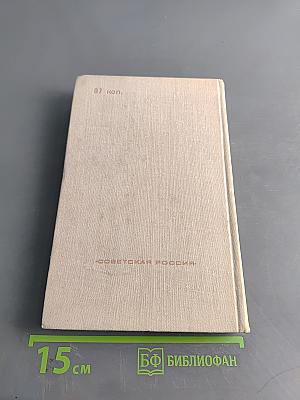 Современная идиллия