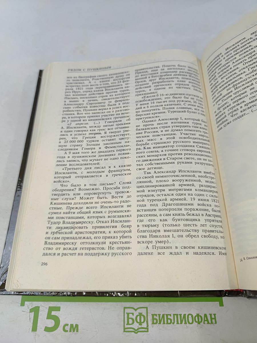 Рядом с Пушкиным. Портреты, кистью и пером