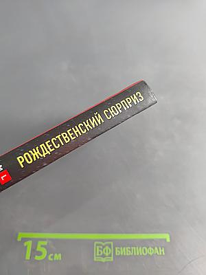 Рождественский сюрприз