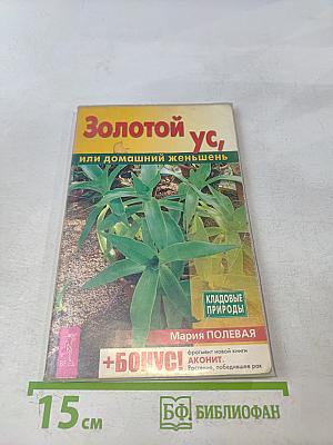 Золотой ус, или домашний женьшень