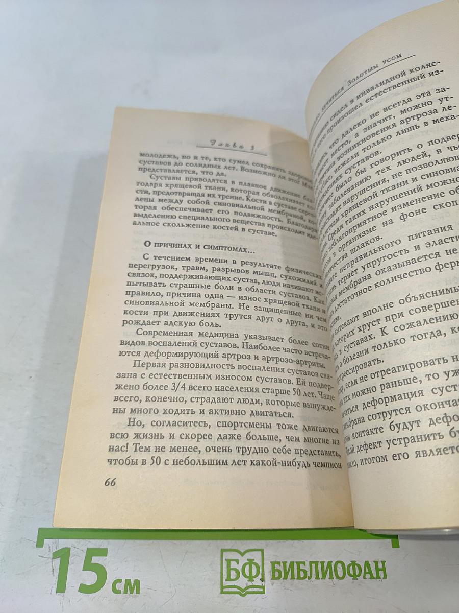 Золотой ус, или домашний женьшень