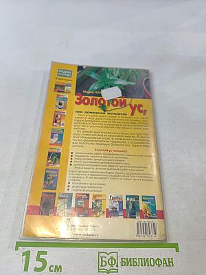 Золотой ус, или домашний женьшень