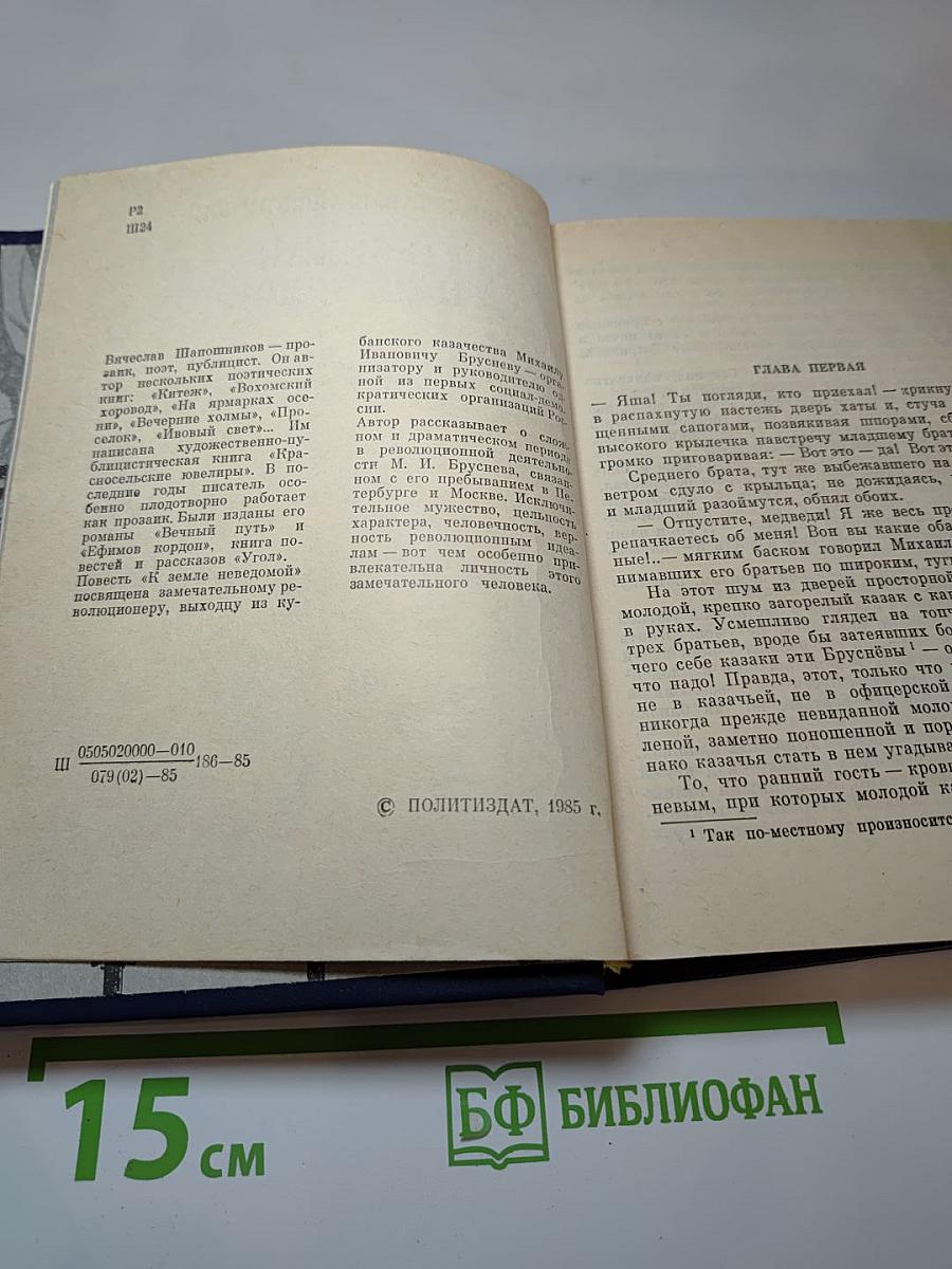 К Земле неведомой. Повесть о Михаиле Брусневе