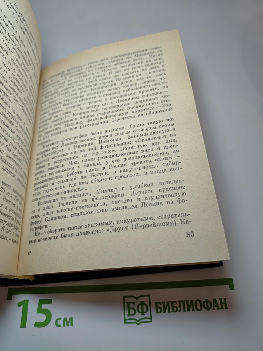 К Земле неведомой. Повесть о Михаиле Брусневе