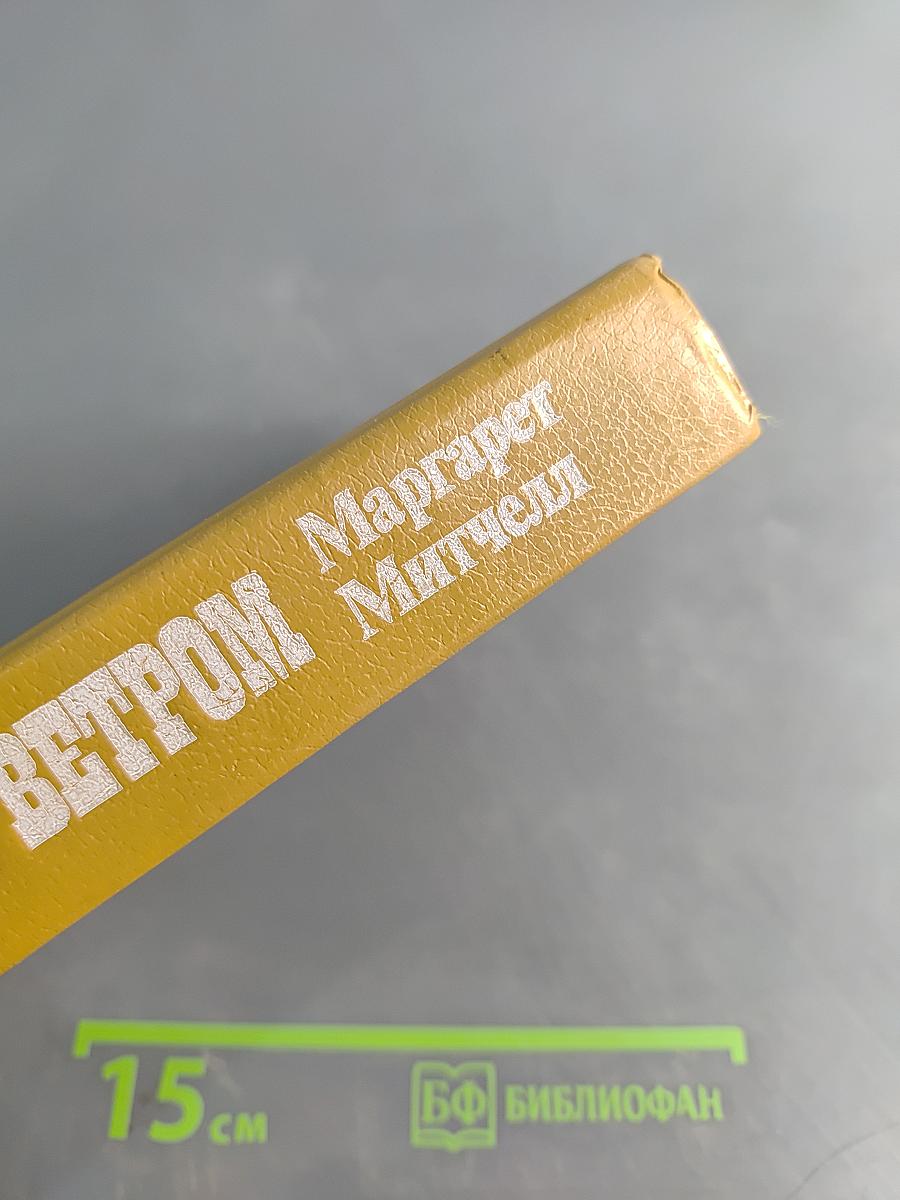 Унесенные ветром. Том 1