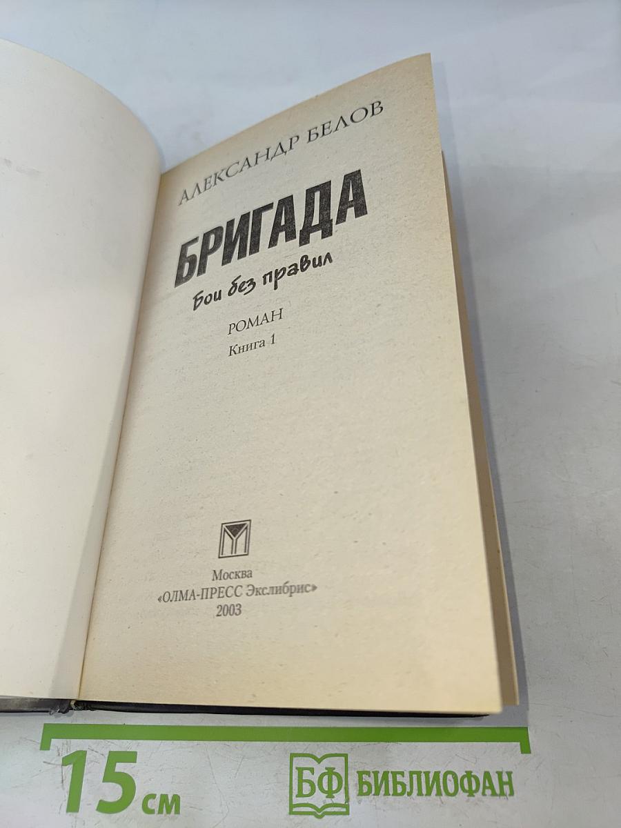 Бригада. Бой без правил. Книга 1