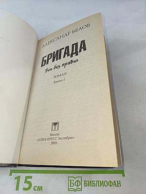 Бригада. Бой без правил. Книга 1