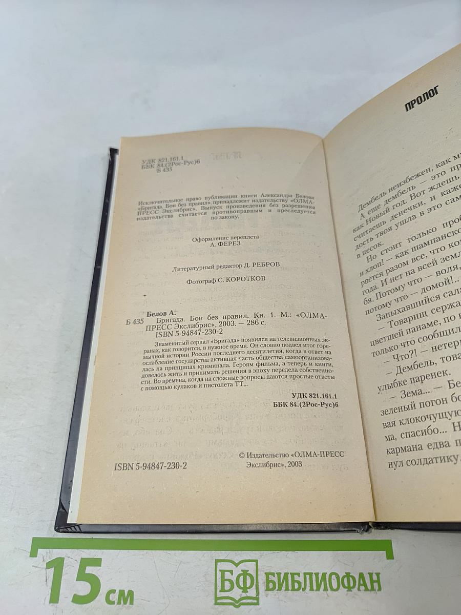 Бригада. Бой без правил. Книга 1