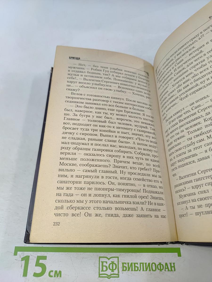 Бригада. Бой без правил. Книга 1