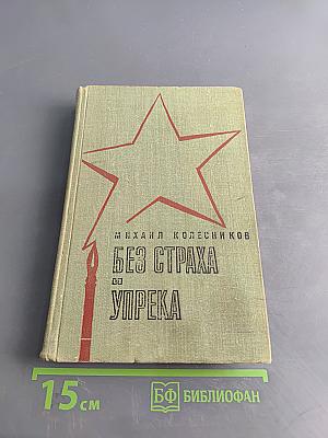 Без страха и упрека. Роман