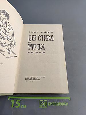 Без страха и упрека. Роман