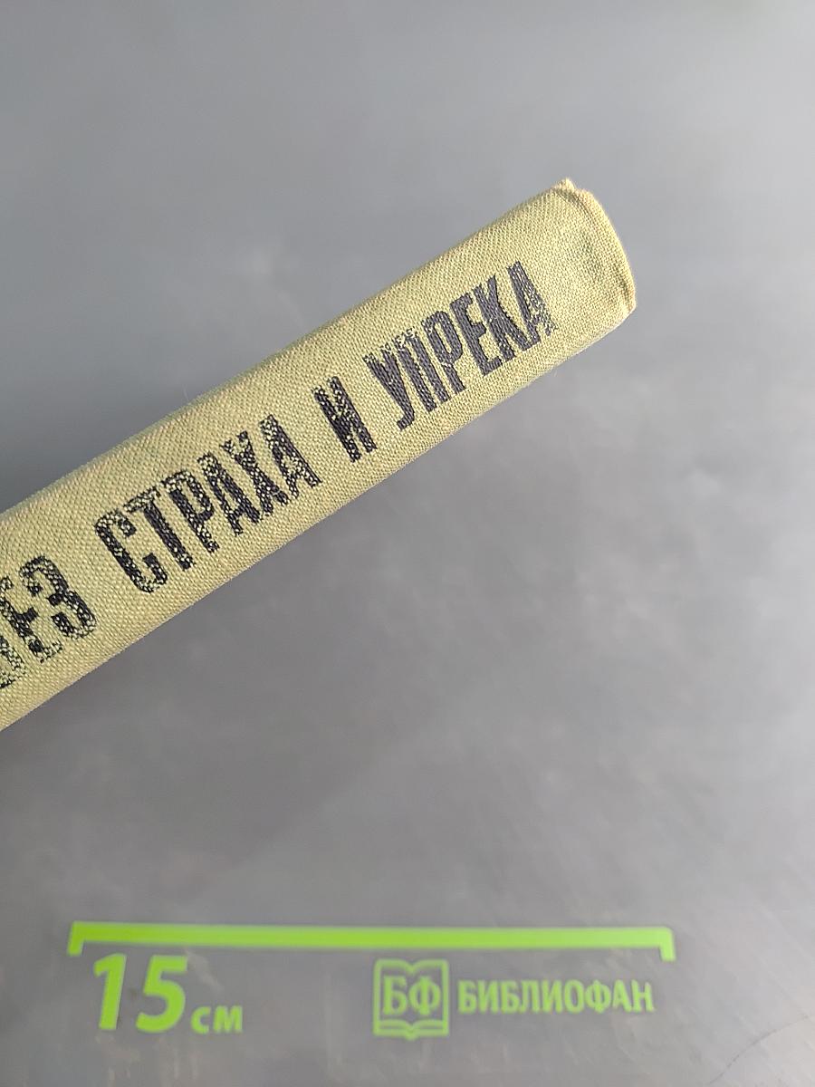 Без страха и упрека. Роман