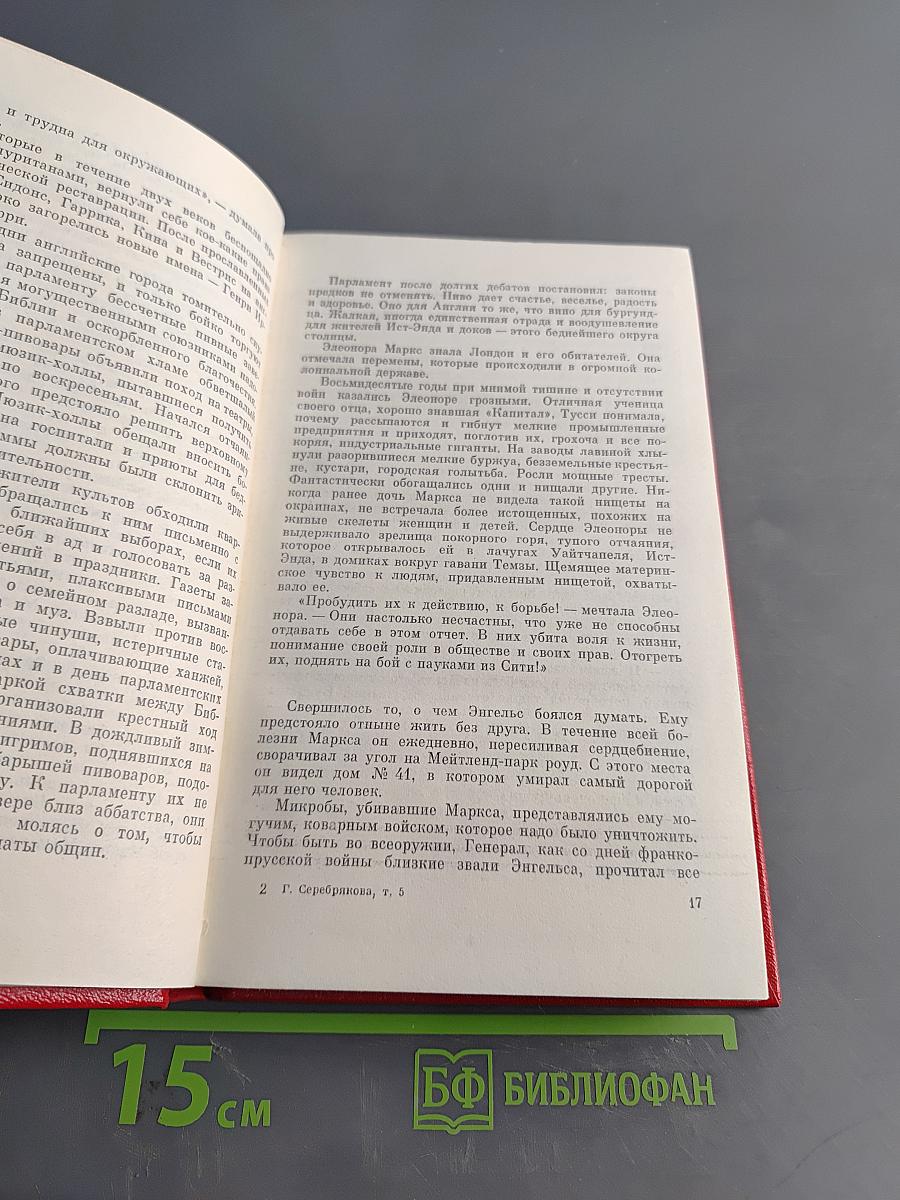 Женщины эпохи Французской революции. Том пятый. Предшествие