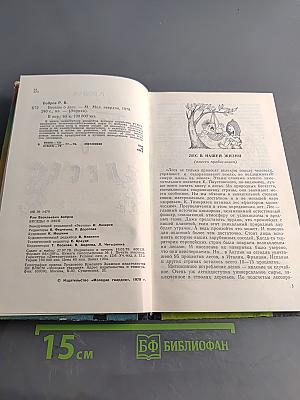 Беседы о лесе