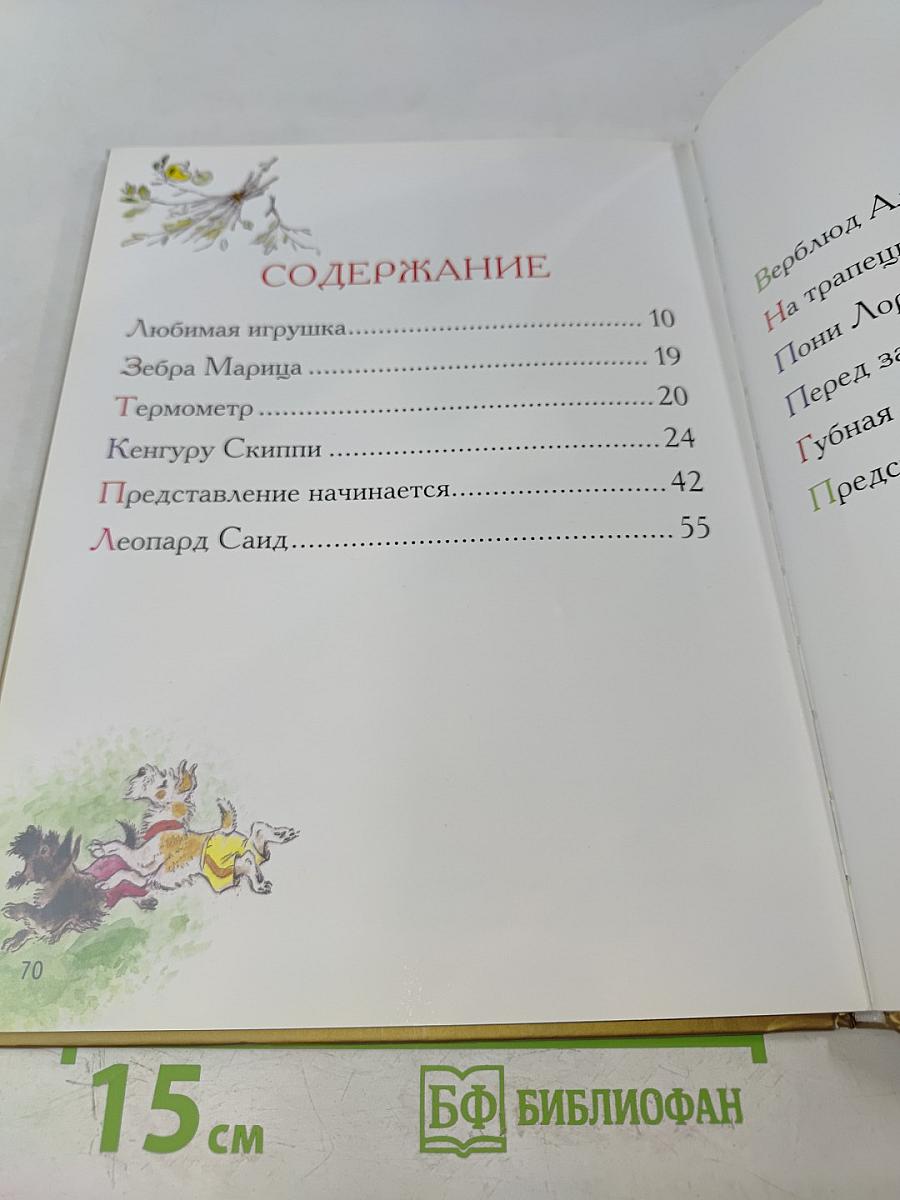 Цирк