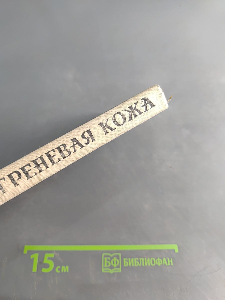 Шагреневая кожа