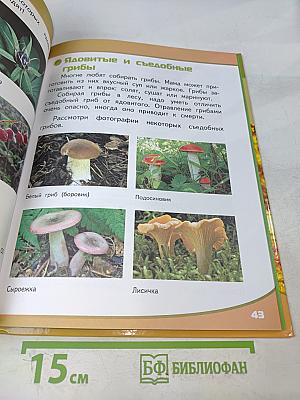 Азбука безопасной и здоровой жизни. Книга для первоклассников