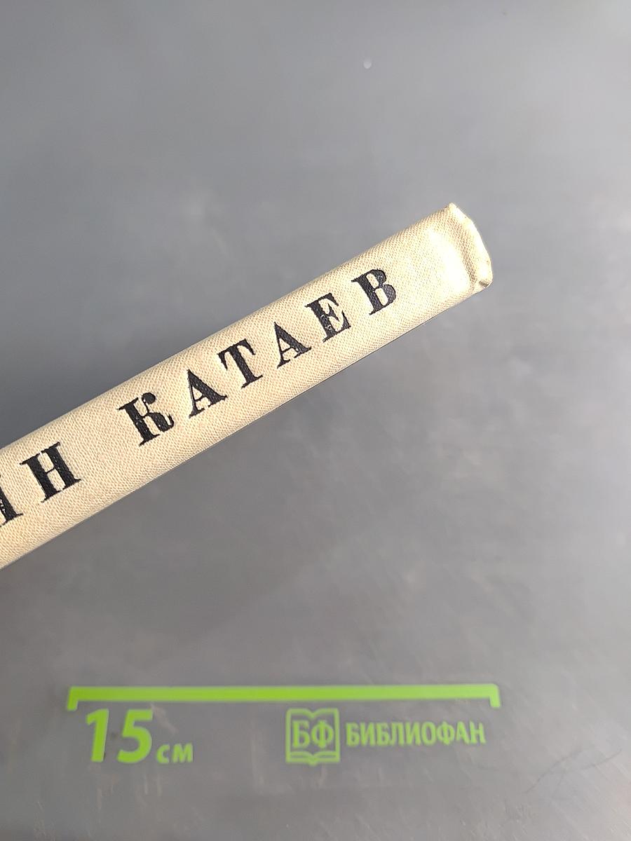 Святой колодец. Трава забвенья