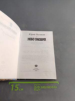 Небо падших