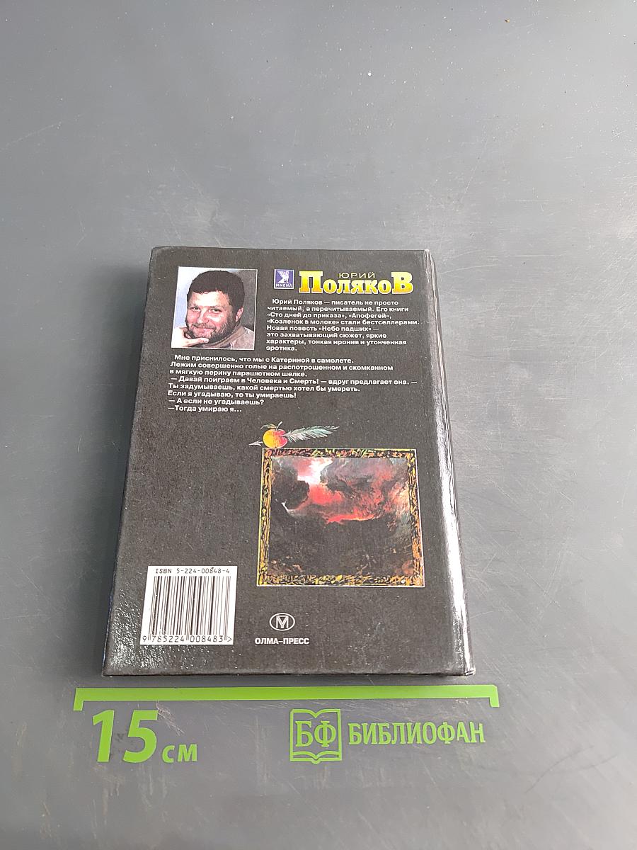 Небо падших