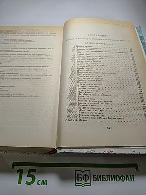 За чьи грехи? Великий раскол