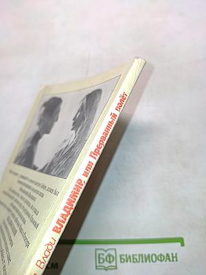 Владимир, или Прерванный полет