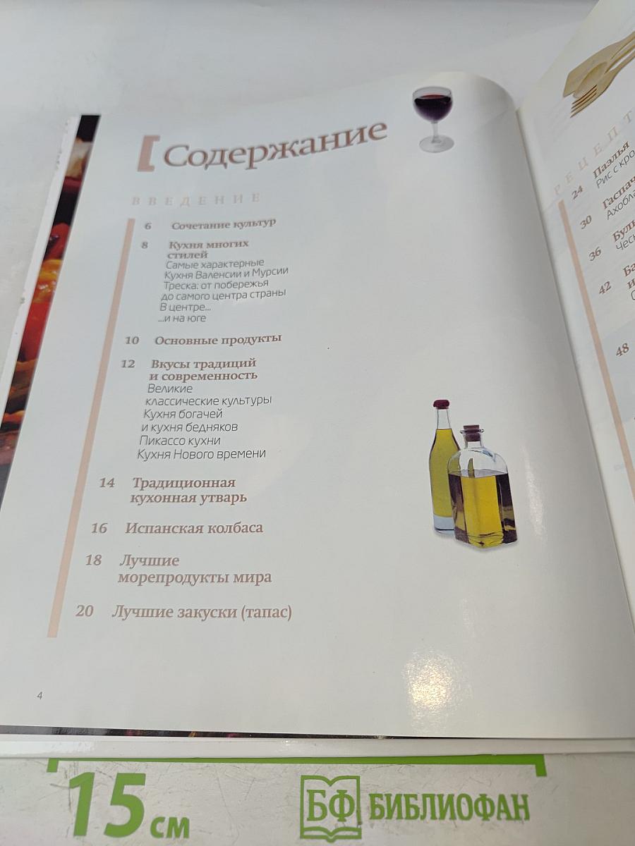 Испанская кухня. Кулинарные шедевры народов мира. Том 1