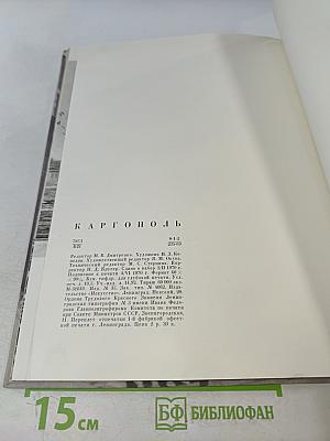Каргополь