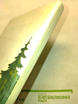 Книга былей и небылиц про медведей и медведиц