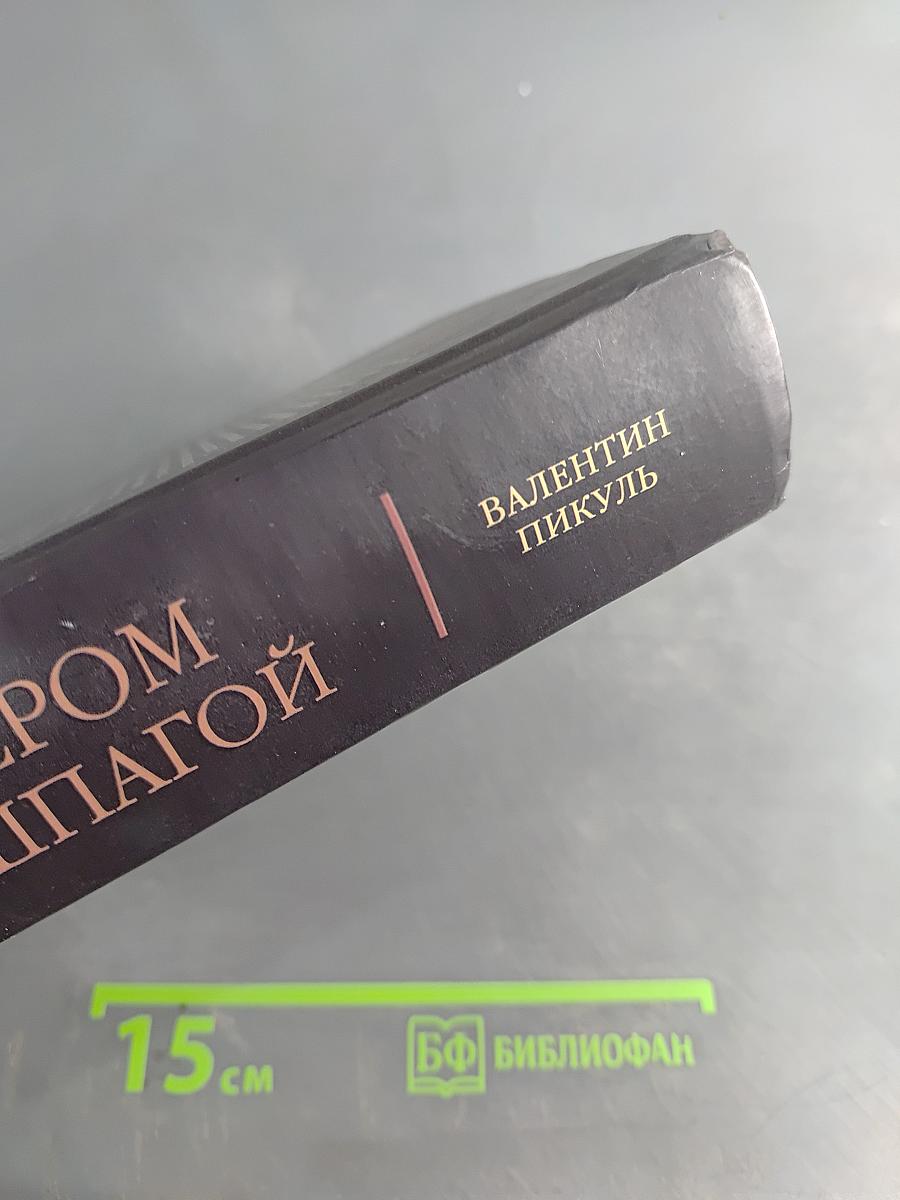 Пером и шпагой. Битва железных канцлеров