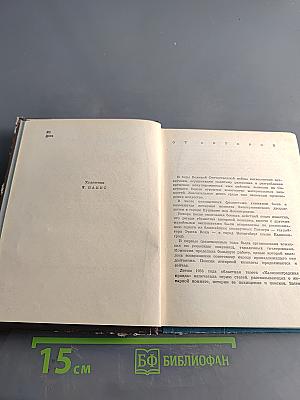 Тайна Янтарной комнаты